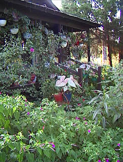 garden buildings
