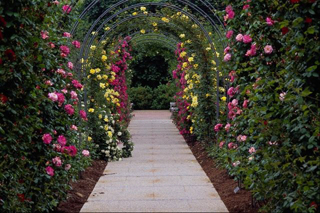 Arbor designs and things to consider